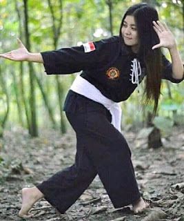 Detail Gambar Pesilat Wanita Nomer 8