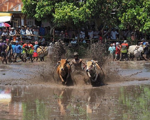 Detail Gambar Peta Bukittinggi Transportasi Nomer 16