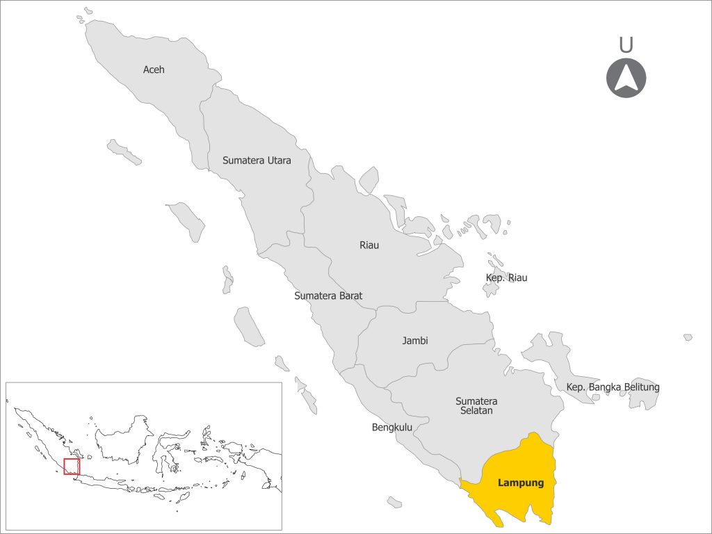 Detail Gambar Peta Ibu Kota Lampung Nomer 30