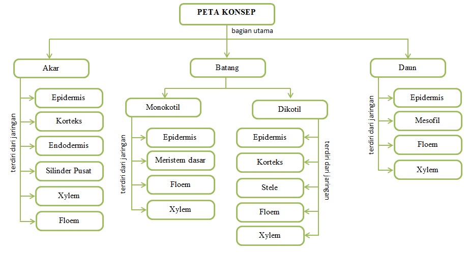 Gambar Peta Konsep Tumbuhan - KibrisPDR