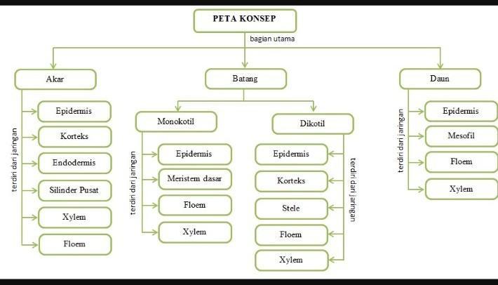 Detail Gambar Peta Konsep Tumbuhan Nomer 12