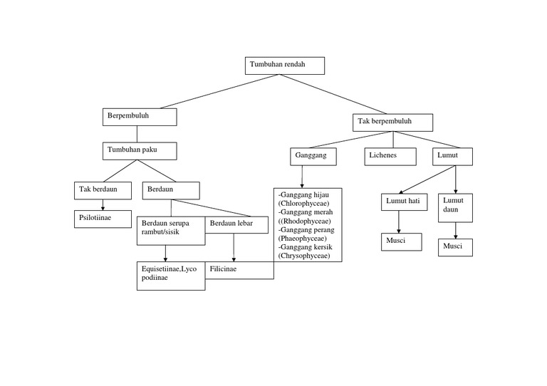 Detail Gambar Peta Konsep Tumbuhan Nomer 16