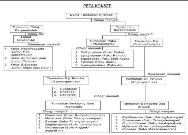 Detail Gambar Peta Konsep Tumbuhan Nomer 3