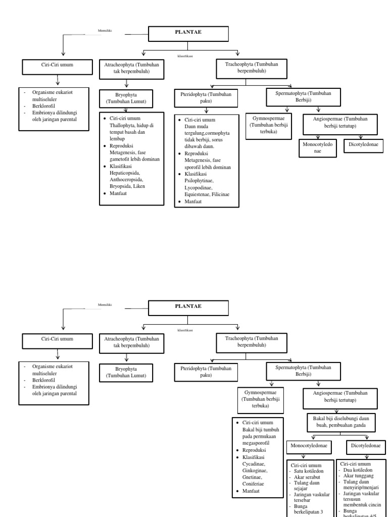 Detail Gambar Peta Konsep Tumbuhan Nomer 22