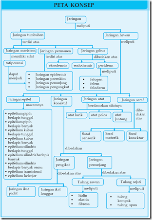 Detail Gambar Peta Konsep Tumbuhan Nomer 25