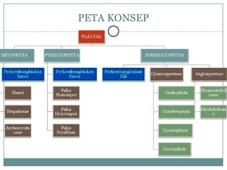 Detail Gambar Peta Konsep Tumbuhan Nomer 35