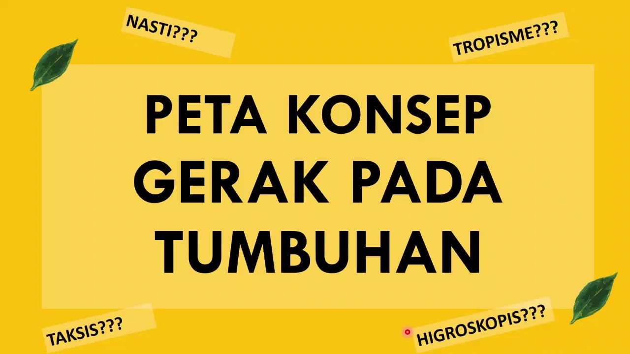 Detail Gambar Peta Konsep Tumbuhan Nomer 42