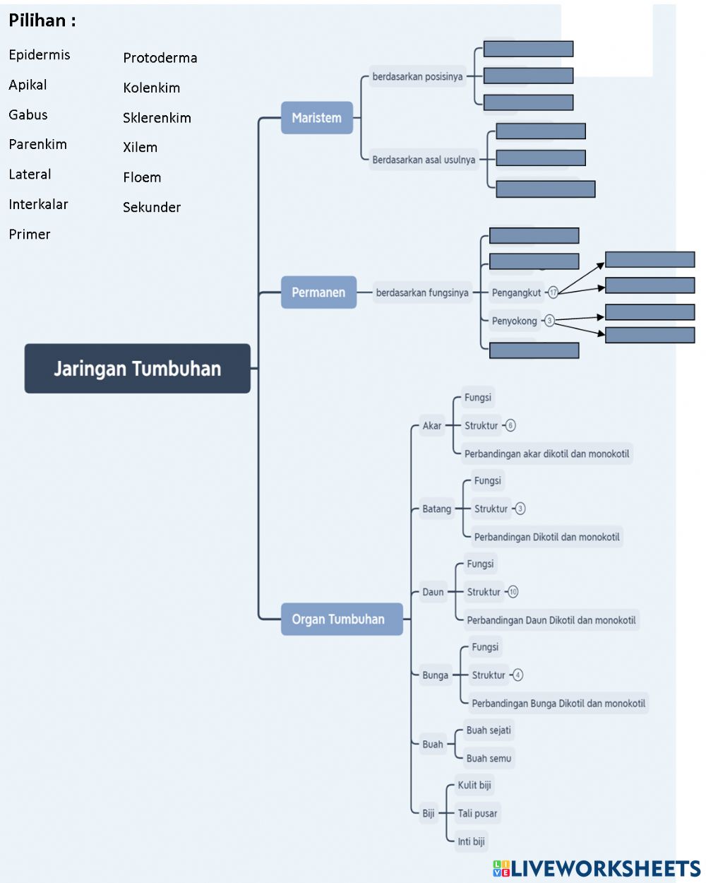 Detail Gambar Peta Konsep Tumbuhan Nomer 6