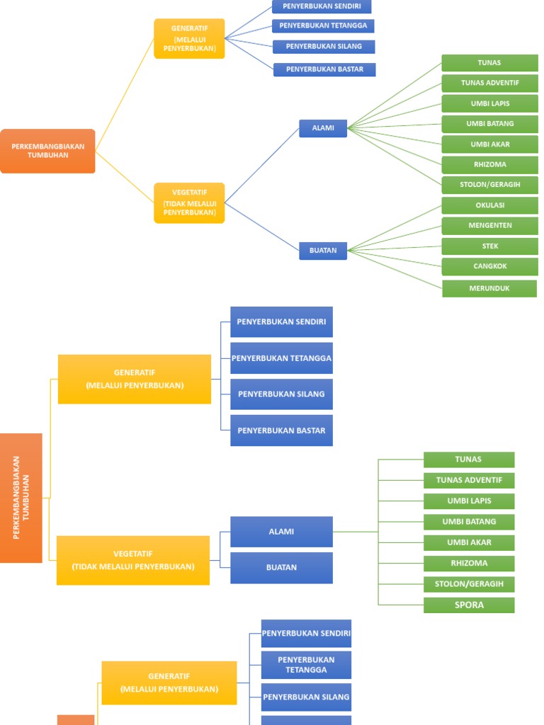 Detail Gambar Peta Konsep Tumbuhan Nomer 52