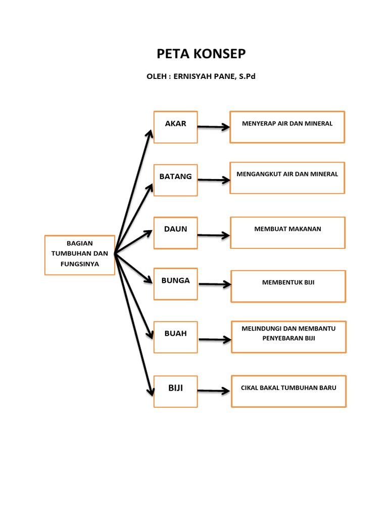 Detail Gambar Peta Konsep Tumbuhan Nomer 56