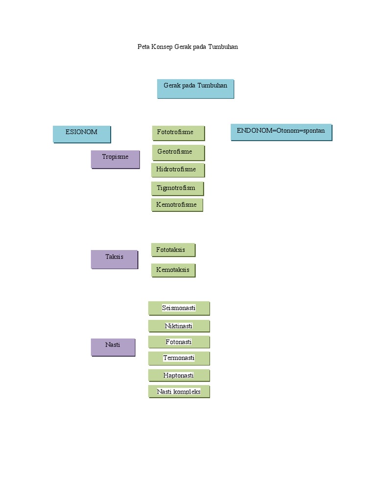 Detail Gambar Peta Konsep Tumbuhan Nomer 57