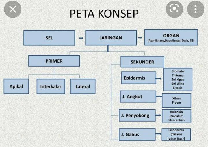 Detail Gambar Peta Konsep Tumbuhan Nomer 9