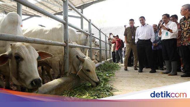 Detail Gambar Peta Lokasi Peternakan Di Indonesia Nomer 22