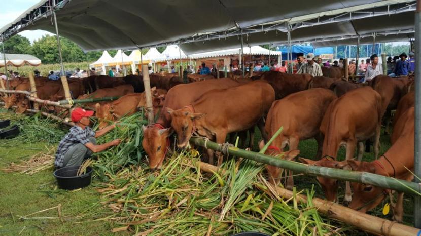 Detail Gambar Peta Lokasi Peternakan Di Indonesia Nomer 35