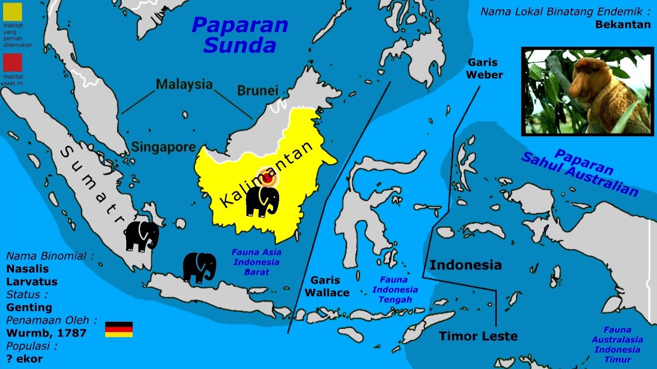 Detail Gambar Peta Seluruh Indonesia Nomer 29