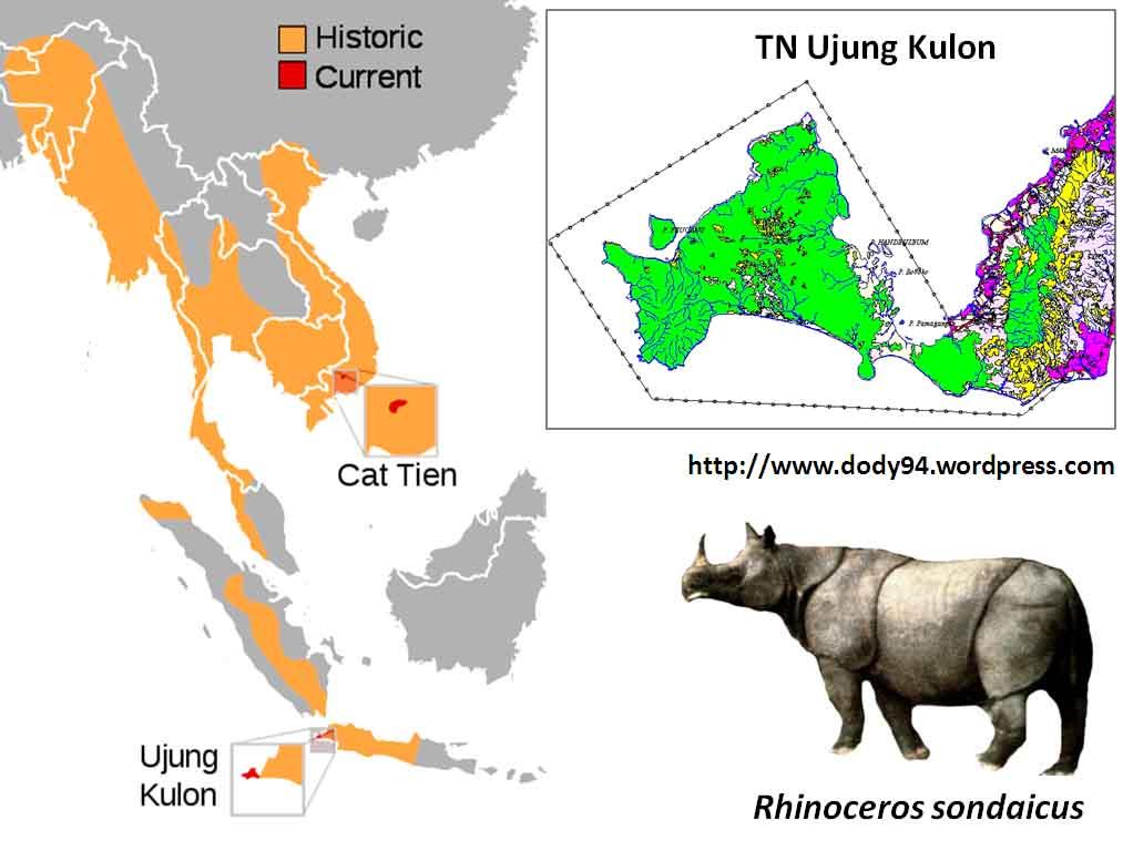 Detail Gambar Peta Tempat Badak Jawa Tinggal Nomer 3