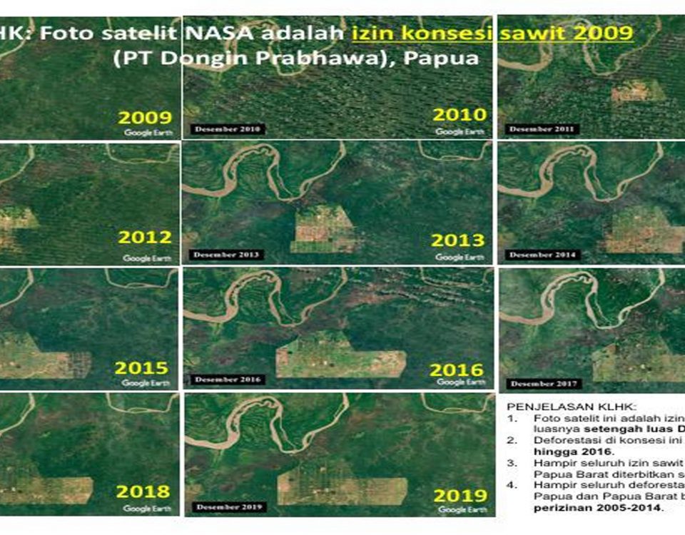 Detail Gambar Peta Wilayah Sesaot Dengan Google Earth Nomer 26