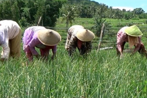 Detail Gambar Petani Bercocok Tanam Nomer 15