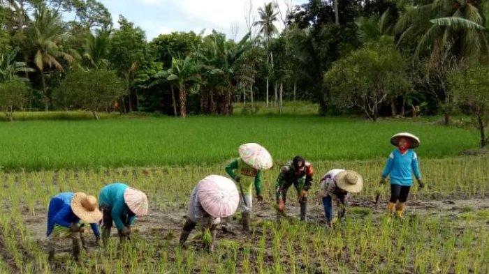 Detail Gambar Petani Bercocok Tanam Nomer 20