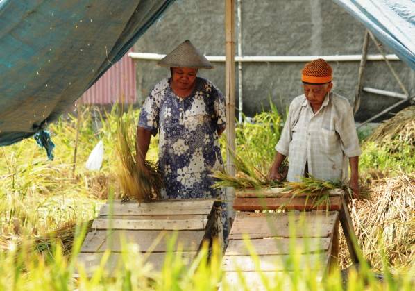 Detail Gambar Petani Bercocok Tanam Nomer 30