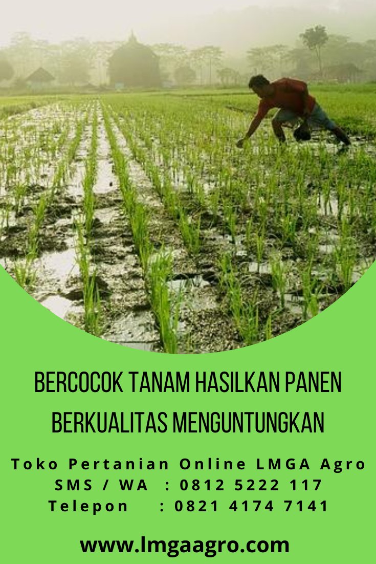 Detail Gambar Petani Bercocok Tanam Nomer 38