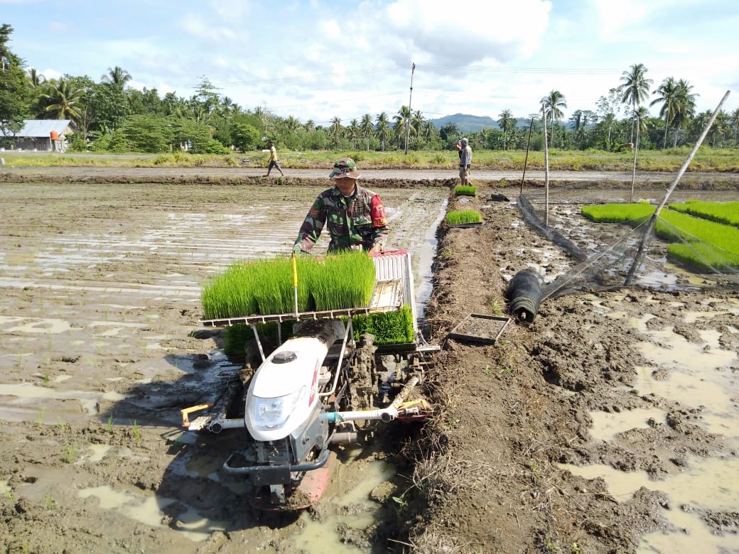 Detail Gambar Petani Bercocok Tanam Nomer 43