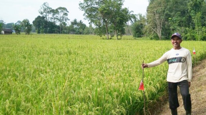 Detail Gambar Petani Bercocok Tanam Nomer 45