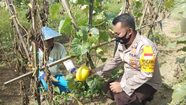 Detail Gambar Petani Bercocok Tanam Nomer 46