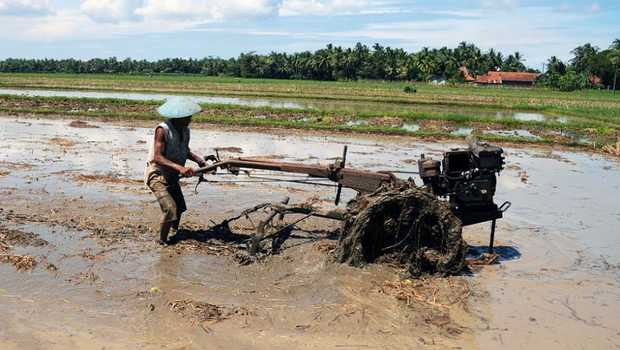 Detail Gambar Petani Membajak Sawah Nomer 35