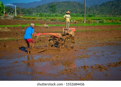 Detail Gambar Petani Membajak Sawah Nomer 46