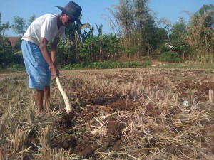 Detail Gambar Petani Mencangkul Nomer 30