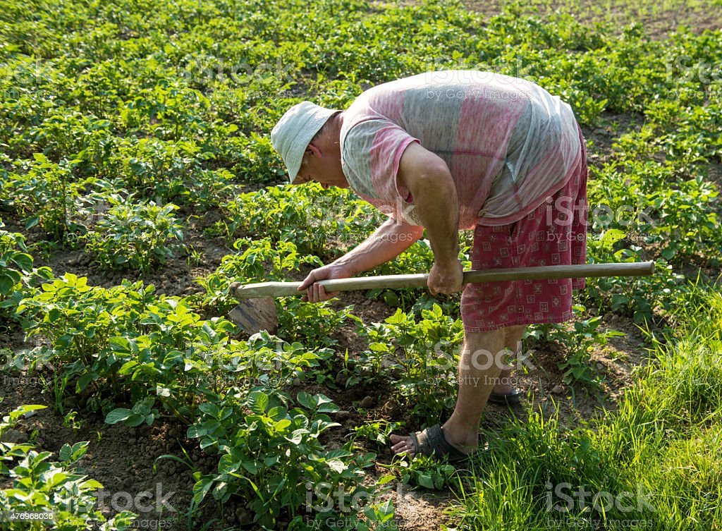 Detail Gambar Petani Mencangkul Nomer 32