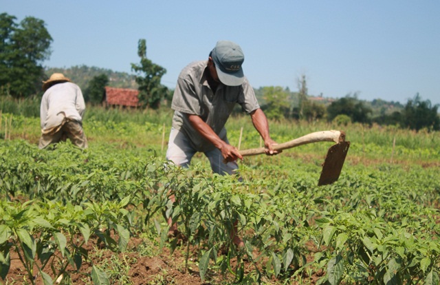 Detail Gambar Petani Mencangkul Nomer 38