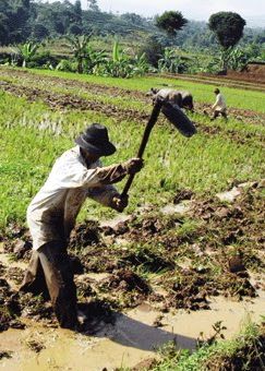 Detail Gambar Petani Mencangkul Nomer 42