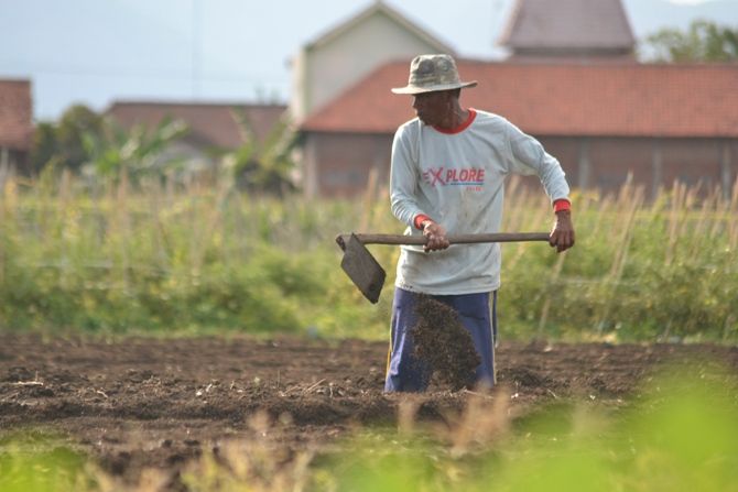 Detail Gambar Petani Mencangkul Nomer 5