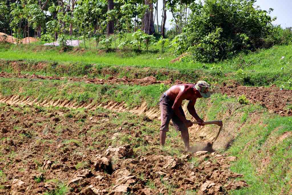 Detail Gambar Petani Sedang Mencangkul Nomer 14