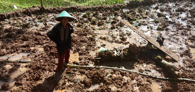 Detail Gambar Petani Sedang Mencangkul Nomer 18