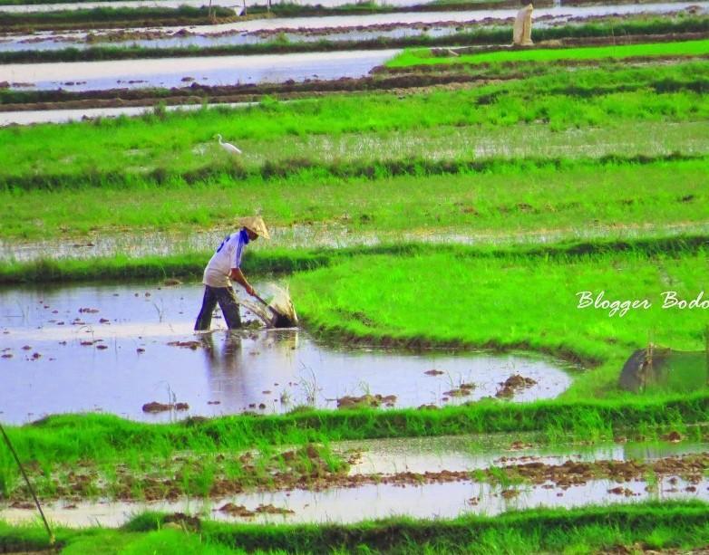 Detail Gambar Petani Sedang Mencangkul Nomer 22