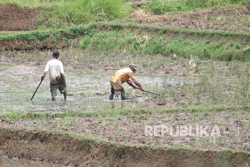 Detail Gambar Petani Sedang Mencangkul Nomer 24