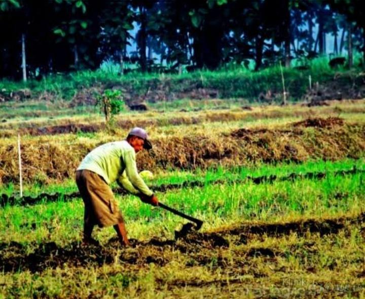 Detail Gambar Petani Sedang Mencangkul Nomer 30