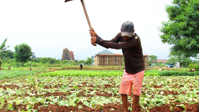 Detail Gambar Petani Sedang Mencangkul Nomer 34