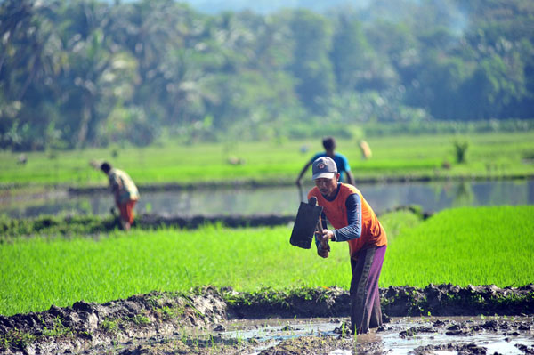 Detail Gambar Petani Sedang Mencangkul Nomer 5