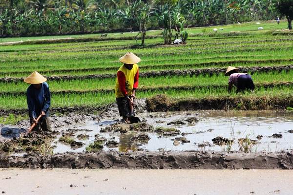 Detail Gambar Petani Sedang Mencangkul Nomer 8