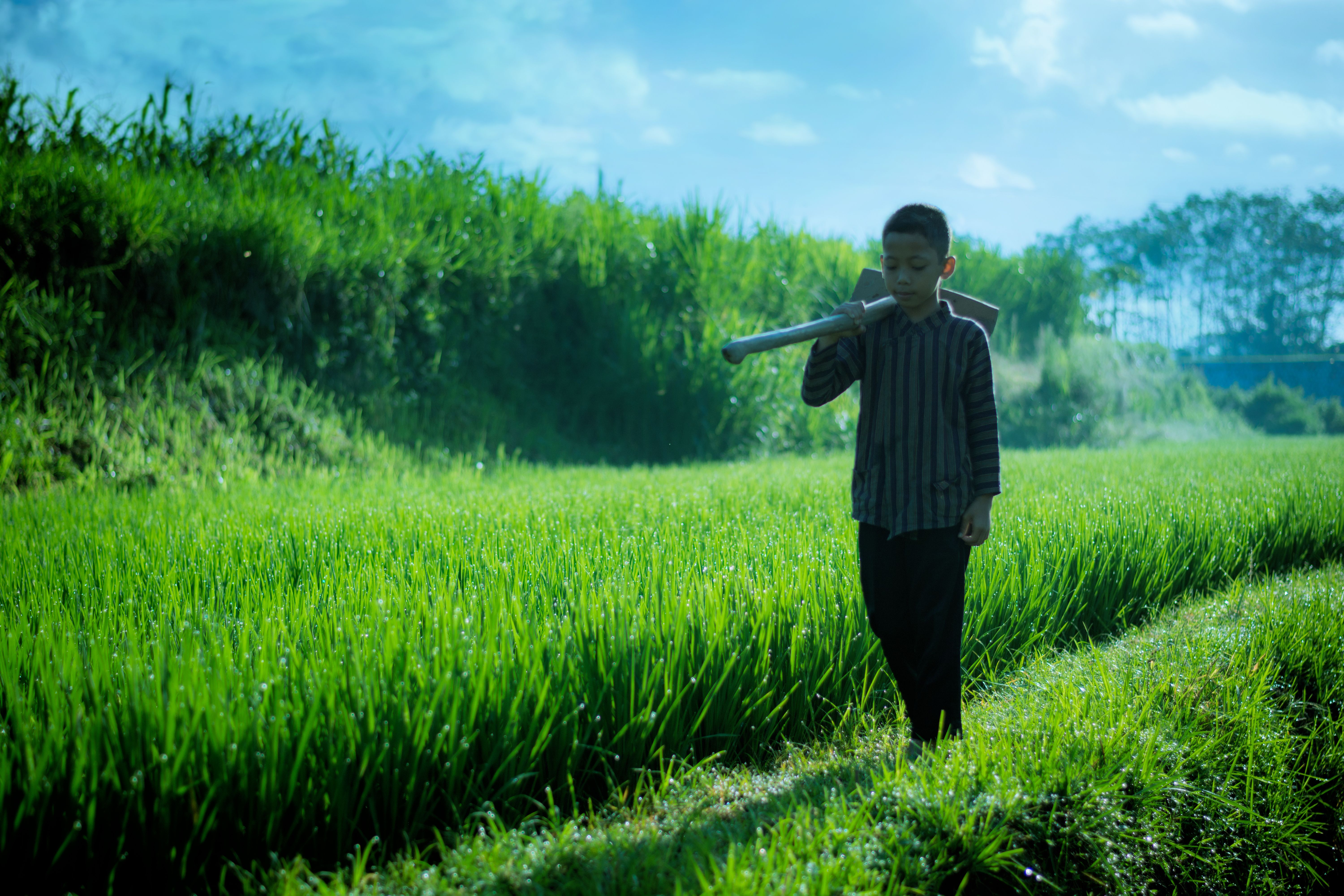 Detail Gambar Petani Sedang Mencangkul Sawah Nomer 23