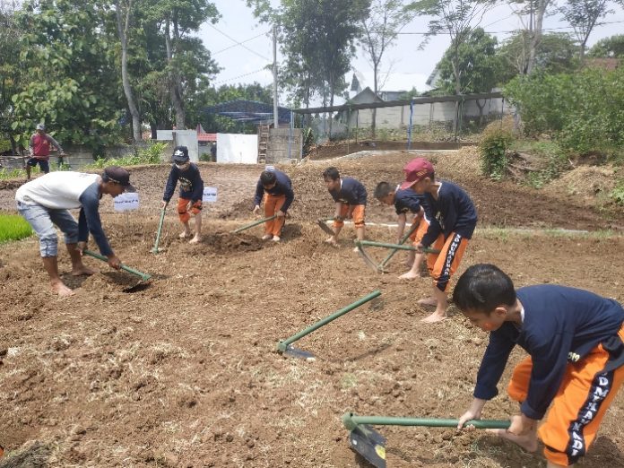 Detail Gambar Petani Sedang Mencangkul Sawah Nomer 24