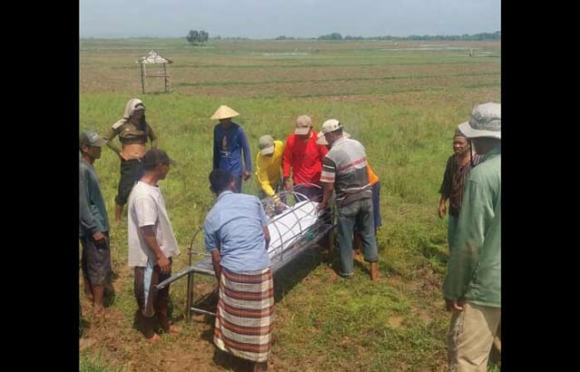 Detail Gambar Petani Sedang Mencangkul Sawah Nomer 28