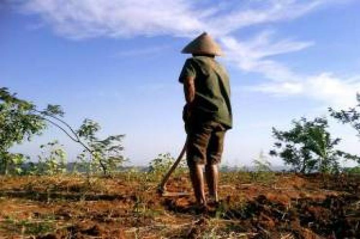 Detail Gambar Petani Sedang Mencangkul Sawah Nomer 31