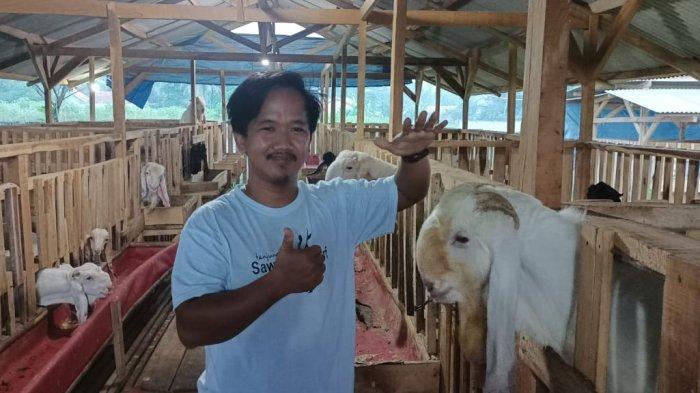 Detail Gambar Peternakan Kambing Nomer 33