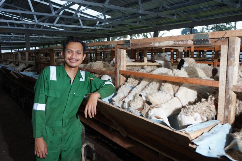 Detail Gambar Peternakan Kambing Nomer 34