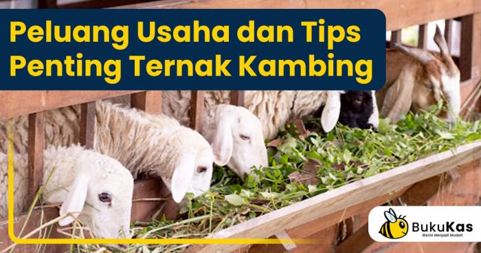 Detail Gambar Peternakan Kambing Nomer 48